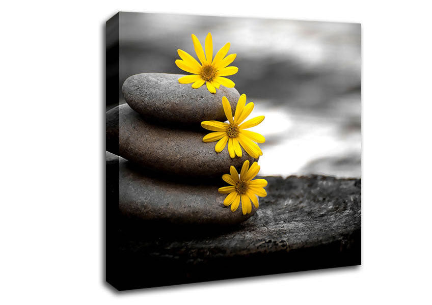 Zen Flowered Stones Canvas Wall Art