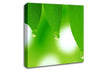 Tree Leaves With Dew Canvas Wall Art