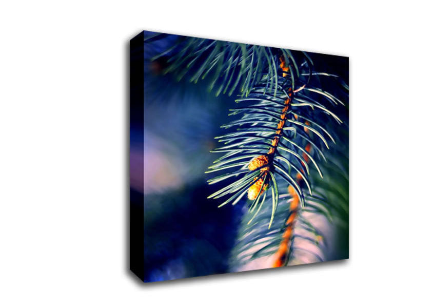 Fir Needles Macro Canvas Wall Art