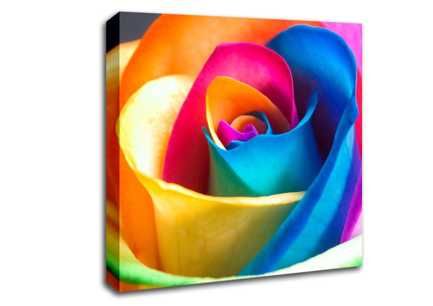 Rainbow Rose Canvas Wall Art
