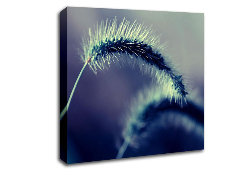 Spikelets Macro Canvas Wall Art