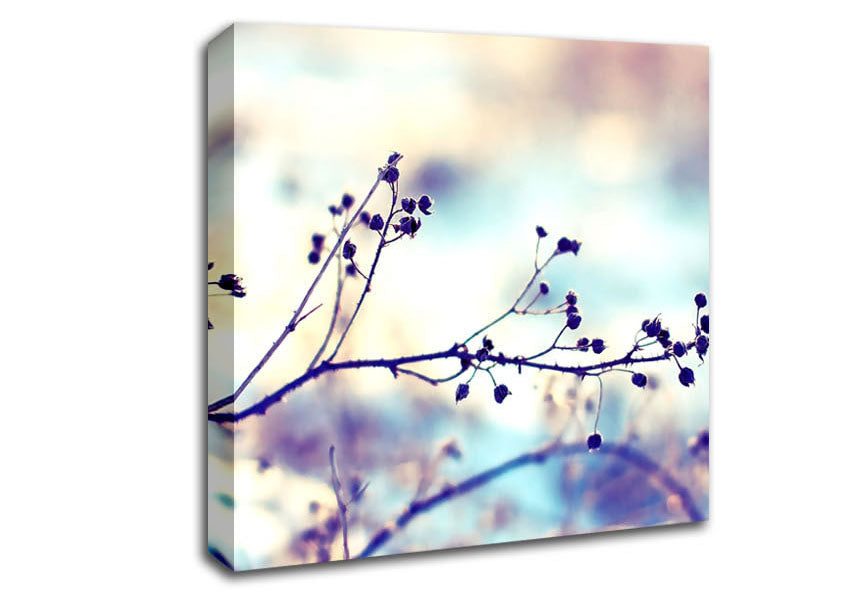 Spikey Twigs With Berries Canvas Wall Art