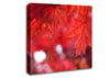 Red Autumn Canvas Wall Art