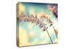 All Along Canvas Wall Art