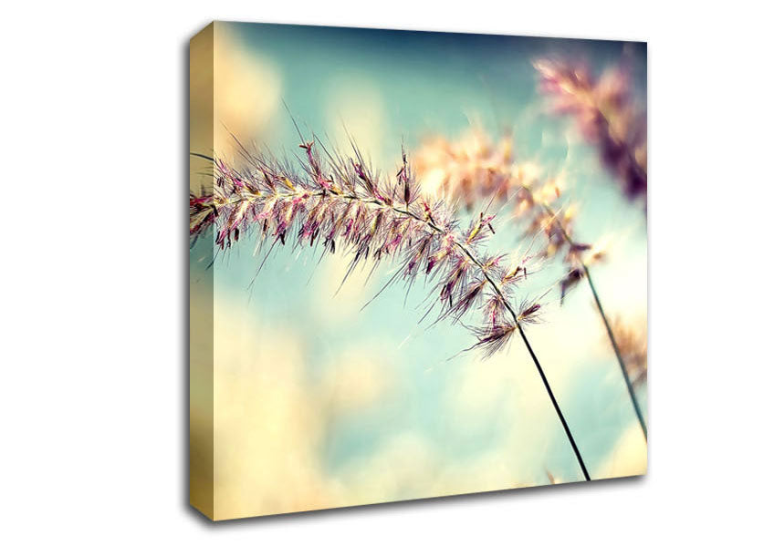 All Along Canvas Wall Art