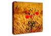 Poppies 3 Canvas Wall Art