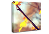 Autumn 2 Canvas Wall Art
