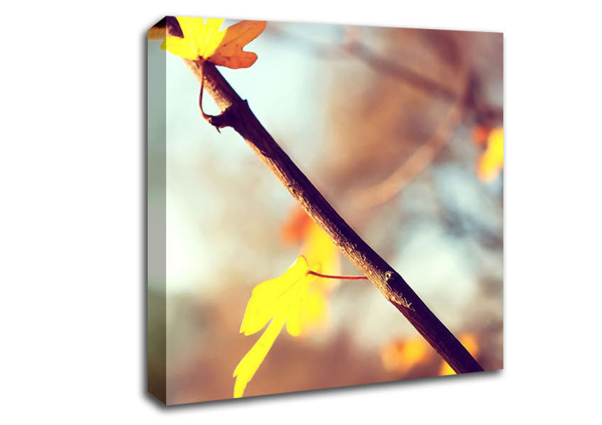 Autumn 2 Canvas Wall Art