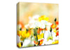 Colourful Summer Flowers Canvas Wall Art