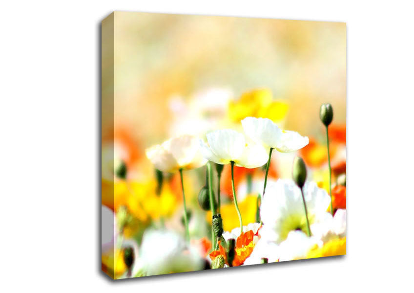 Colourful Summer Flowers Canvas Wall Art