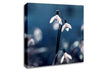 Opened Snowdrops Canvas Wall Art