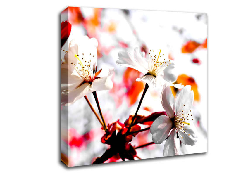 Spring Season Flowers Canvas Wall Art