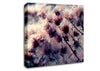 Cotton Buds Canvas Wall Art