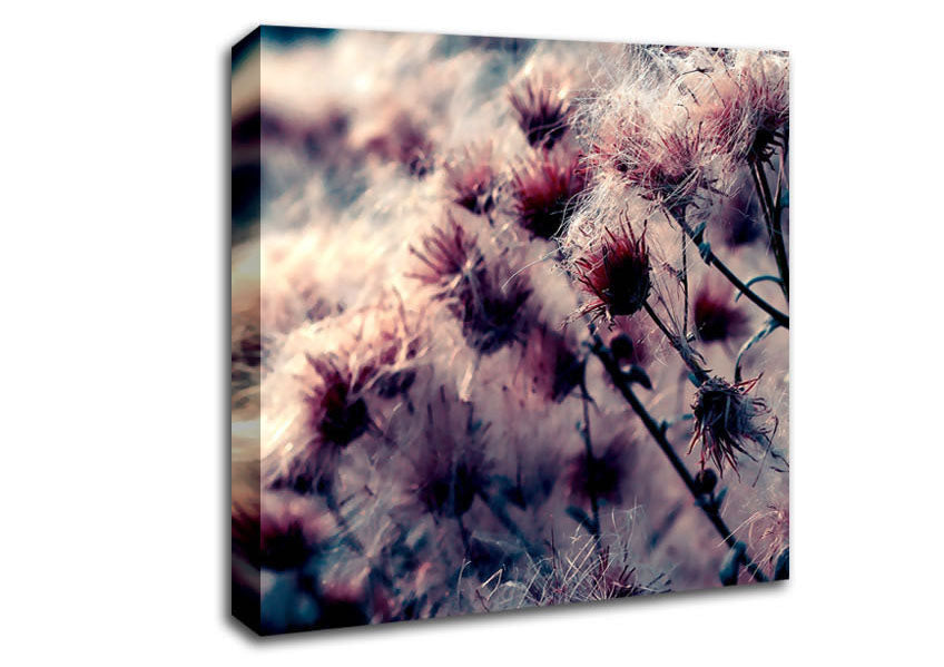 Cotton Buds Canvas Wall Art