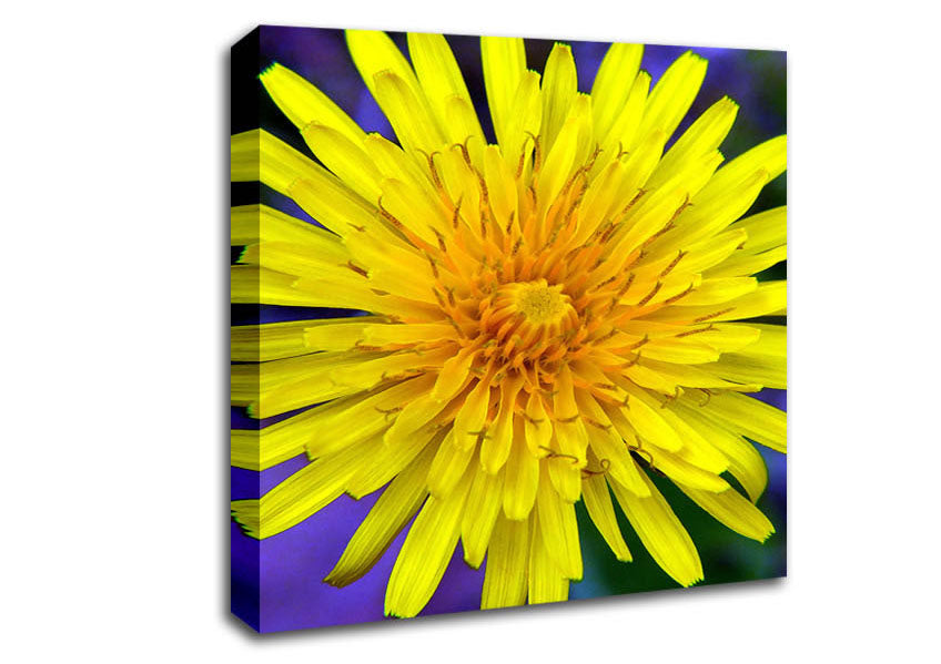 Yellow Wildflower Canvas Wall Art