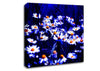 Chamomile Flowers Canvas Wall Art