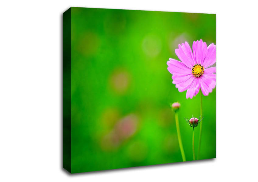 Pink Flower Green Background Canvas Wall Art