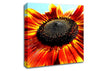 The Sunflower Canvas Wall Art