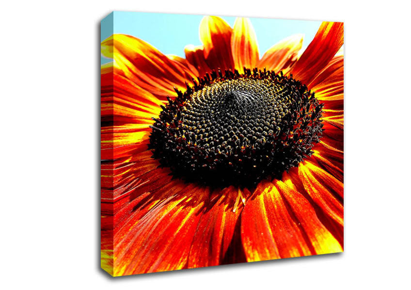 The Sunflower Canvas Wall Art