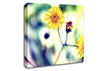 Weed Or Flower Canvas Wall Art