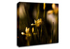 Withered Yellow Flowers Canvas Wall Art