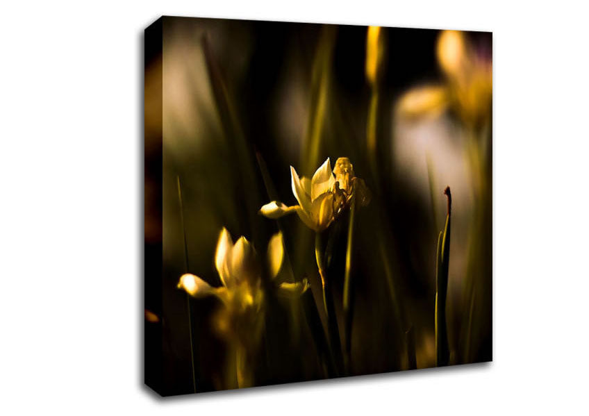 Withered Yellow Flowers Canvas Wall Art