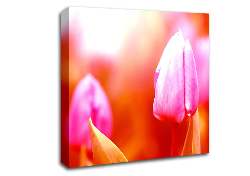 Pink Tulip On Red Canvas Wall Art
