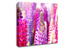 Pink And Purple Lupin Flowers Canvas Wall Art