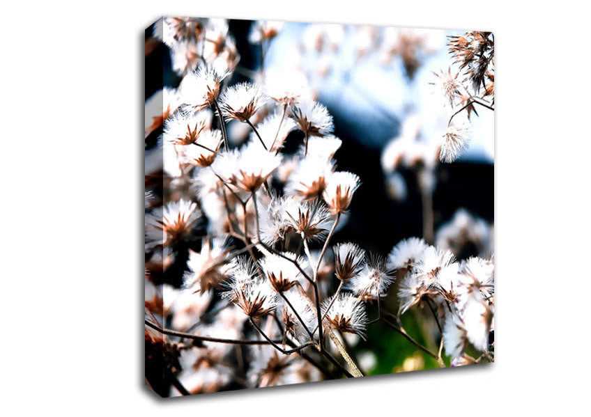 Fluffy Winter Bloom Canvas Wall Art