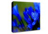 Blue Soft Look Canvas Wall Art