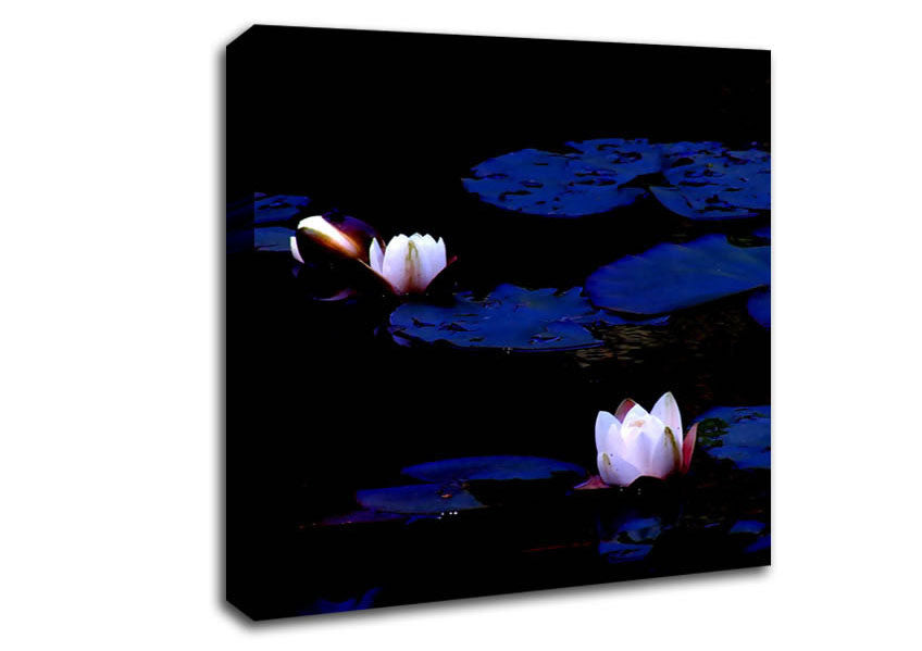 Pink Water Lily On Blue Canvas Wall Art