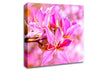 Stunning Deep Pink Flowers Canvas Wall Art