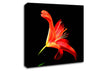 Flower In Space Canvas Wall Art