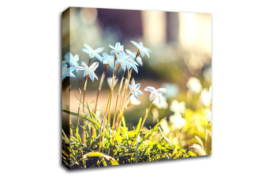 Soft Blue Garden Flowers Canvas Wall Art