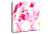 Pink Orchid Galour Canvas Wall Art
