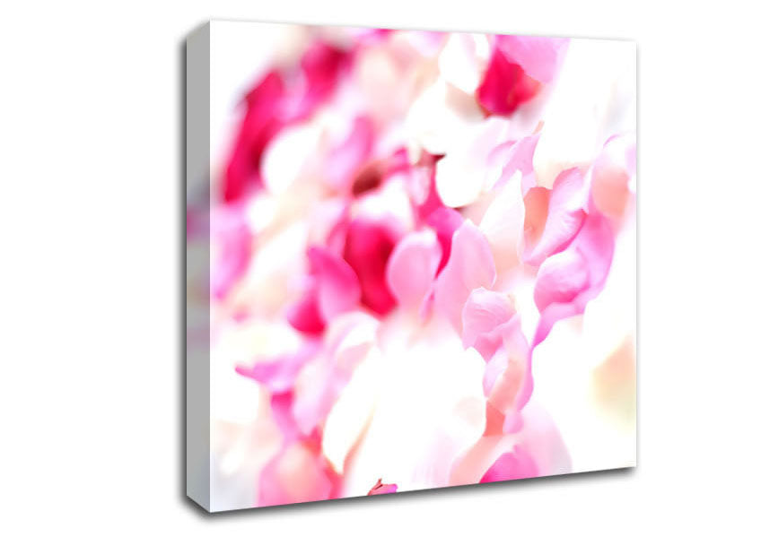 Pink Orchid Galour Canvas Wall Art