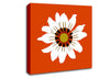 White Daisy Oranges Canvas Wall Art