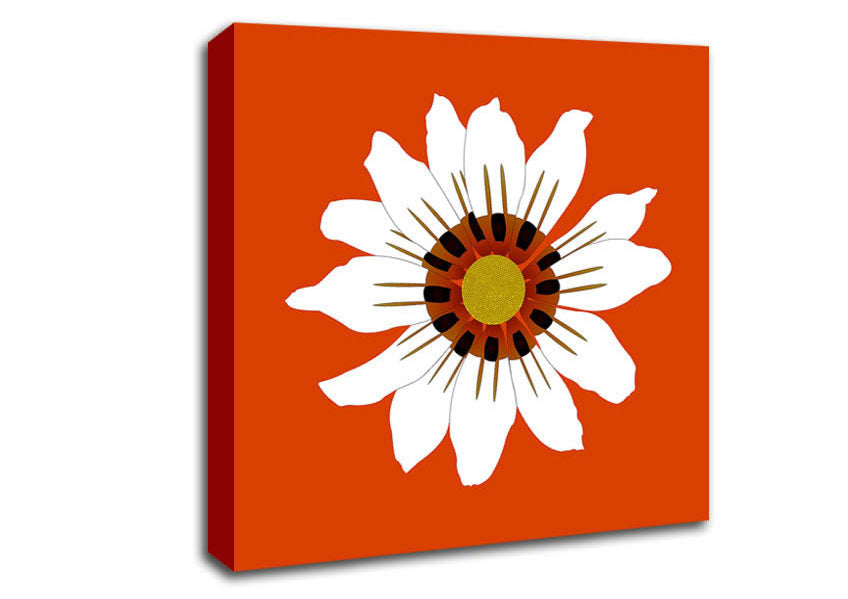 White Daisy Oranges Canvas Wall Art