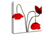 Stunning Trio Of Poppys Canvas Wall Art