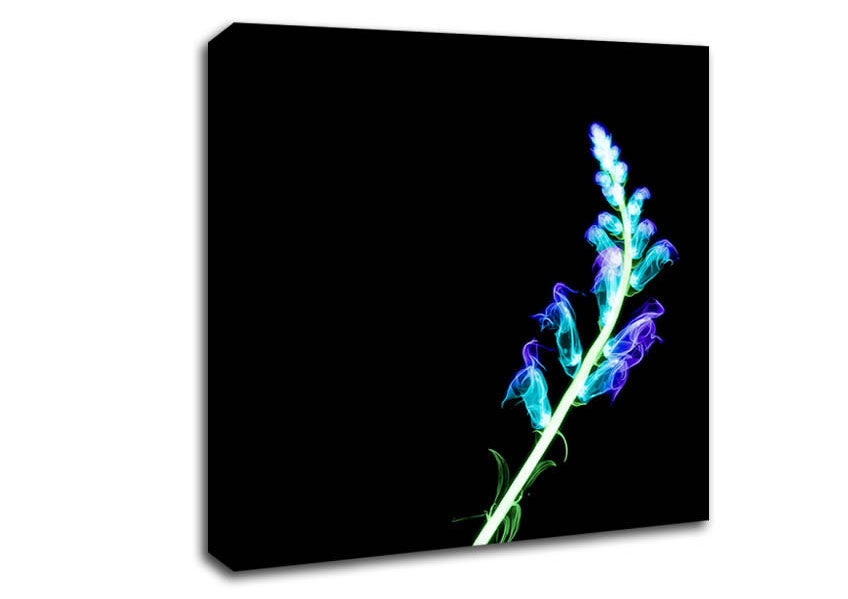 X-Ray Purple Canvas Wall Art