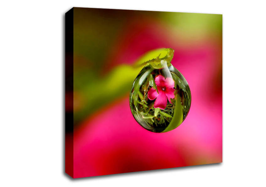 Reflection Of A Pink Flower Canvas Wall Art