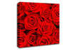 Lovely Roses For The One I Love Canvas Wall Art
