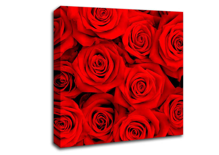 Lovely Roses For The One I Love Canvas Wall Art