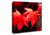 Winter Red Leaves Canvas Wall Art
