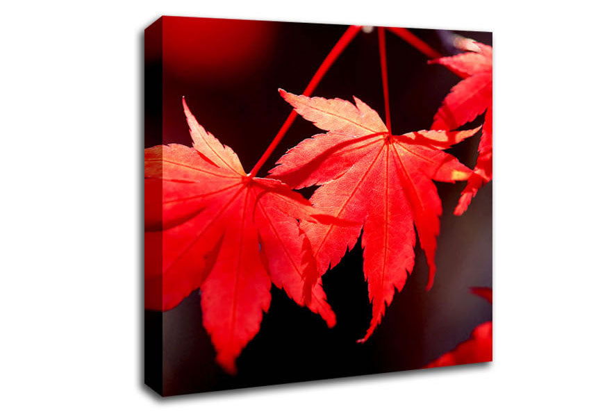 Winter Red Leaves Canvas Wall Art