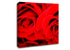 Red Rose Close-Up Twins Canvas Wall Art