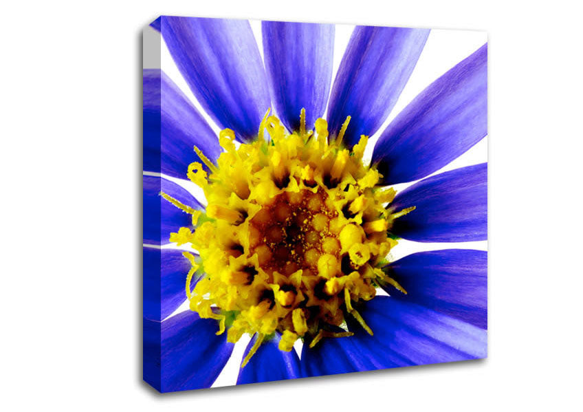 Purple Petal Beauty Canvas Wall Art