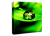 Green Leave Water Droplet Canvas Wall Art