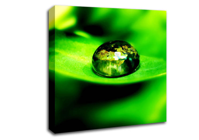 Green Leave Water Droplet Canvas Wall Art