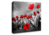 Red Tulip Skies B n W Canvas Wall Art